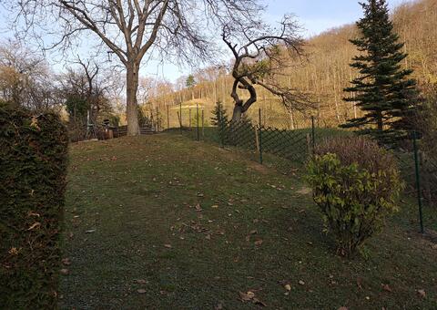 Maschendrahtzaun in 2393 Sittendorf  Niederösterreich 10