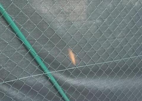 Maschendrahtzaun in 1190 Wien 10