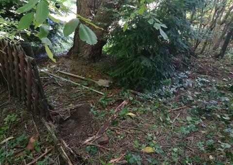 Maschendrahtzaun in 3051 ST.Christophen Niederösterreich 02