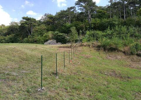 Maschendrahtzaun in 2371 Hinterbrühl  Niederösterreich 04