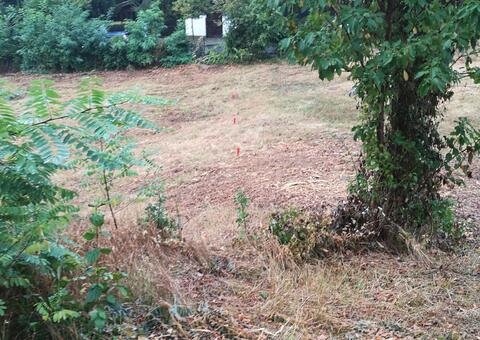 Maschendrahtzaun in 2371 Hinterbrühl  Niederösterreich 01