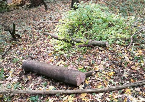 Reparaturarbeiten in 3400 Klosterneuburg Niederösterreich 05