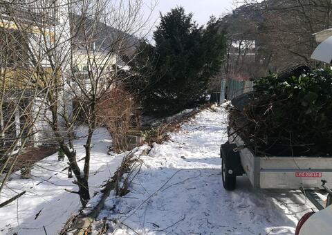 Doppelstabgitterzaun in 2340 Mödling Niederösterreich 04