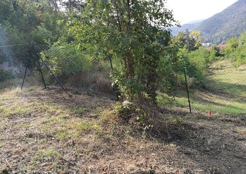 Maschendrahtzaun in 2371 Hinterbrühl  Niederösterreich 07