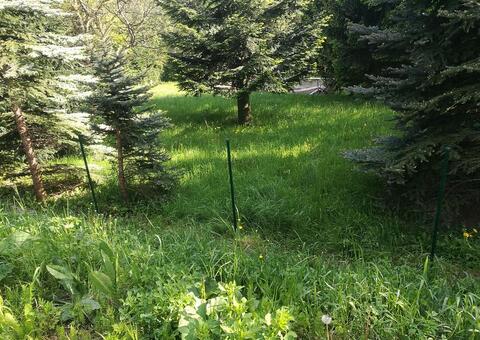 Maschendrahtzaun 3422 Hadersfeld Niederösterreich 03