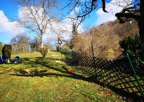 Maschendrahtzaun in 2393 Sittendorf  Niederösterreich 02