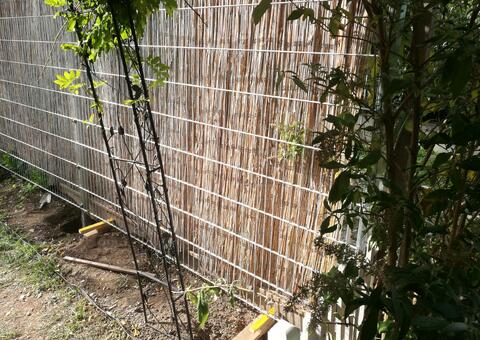 Doppelstabgitterzaun in 1220 Wien 01