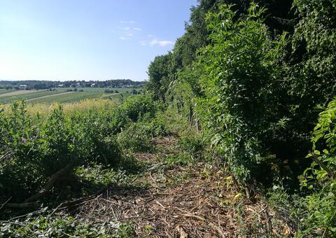 Maschendrahtzaun in 2380 Perchtoldsdorf Niederösterreich 05