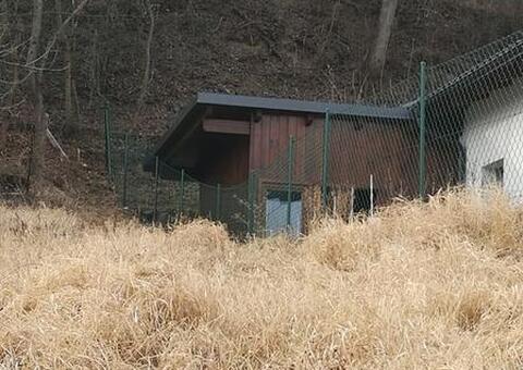 Maschendrahtzaun in 3641 Aggsbach Markt Niederösterreich 15