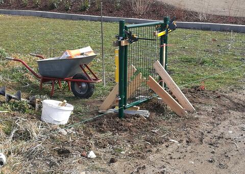 Maschendrahtzaun in 2353 Guntramsdorf Niederösterreich 03