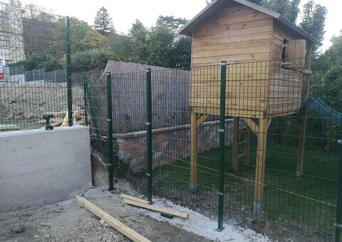 Doppelstabgitterzaun in 2340 Mödling Niederösterreich 15