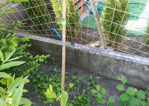 Doppelstabgitterzaun in 2514 Traiskirchen Niederösterreich 04