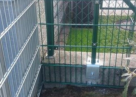 Doppelstabgitterzaun in 2721 Bad Fischau Niederösterreich 09