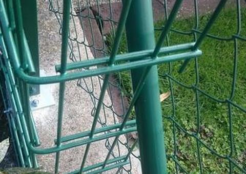 Doppelstabgitterzaun in 2721 Bad Fischau Niederösterreich 10