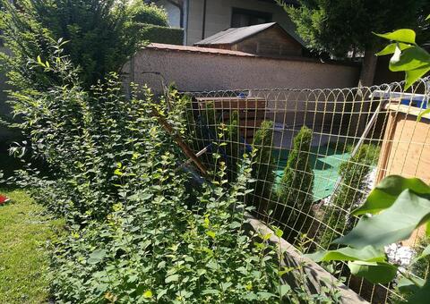 Doppelstabgitterzaun in 2514 Traiskirchen Niederösterreich 02