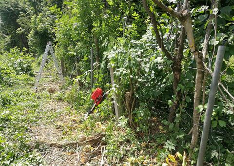 Maschendrahtzaun in 2380 Perchtoldsdorf Niederösterreich 07