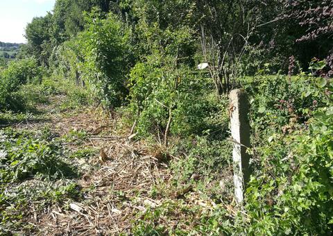 Maschendrahtzaun in 2380 Perchtoldsdorf Niederösterreich 04