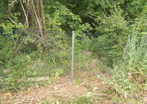 Maschendrahtzaun in 2380 Perchtoldsdorf Niederösterreich 10