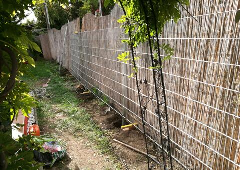 Doppelstabgitterzaun in 1220 Wien 02