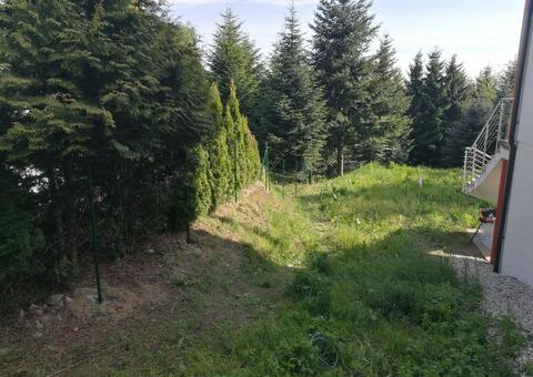 Maschendrahtzaun 3422 Hadersfeld Niederösterreich 01