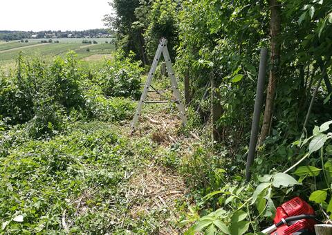 Maschendrahtzaun in 2380 Perchtoldsdorf Niederösterreich 08