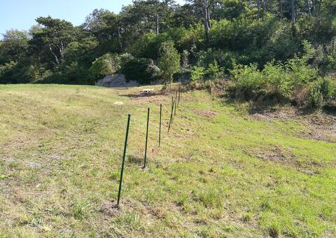 Maschendrahtzaun in 2371 Hinterbrühl  Niederösterreich 03