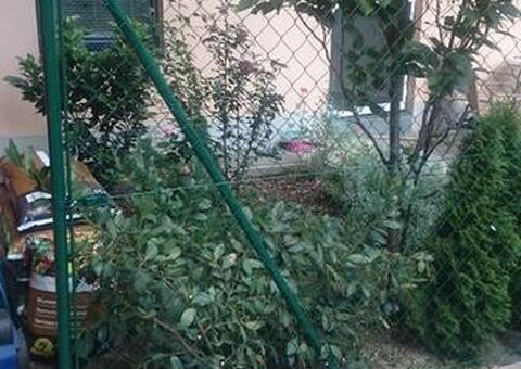 Maschendrahtzaun in 1190 Wien 04