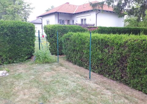 Reparaturarbeiten in 2431 Enzersdorf an der Fischa Niederösterreich 03