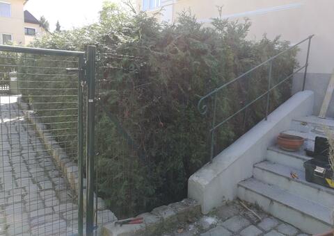 Maschendrahtzaun in 2380 Perchtoldsdorf Niederösterreich 17