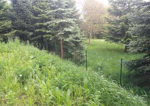 Maschendrahtzaun 3422 Hadersfeld Niederösterreich 15