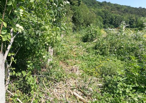 Maschendrahtzaun in 2380 Perchtoldsdorf Niederösterreich 03