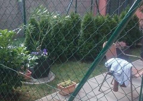 Maschendrahtzaun in 1190 Wien 07