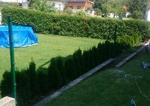 Doppelstabgitterzaun in 2721 Bad Fischau Niederösterreich 01