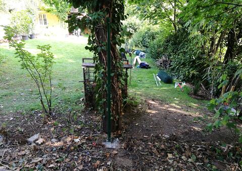 Maschendrahtzaun in 2371 Hinterbrühl  Niederösterreich 06