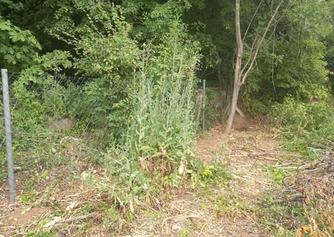 Maschendrahtzaun in 2380 Perchtoldsdorf Niederösterreich 09