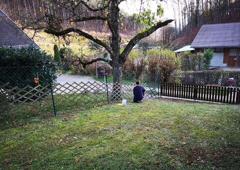 Maschendrahtzaun in 2393 Sittendorf  Niederösterreich 11