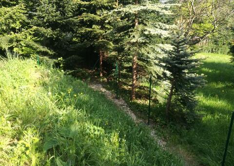 Maschendrahtzaun 3422 Hadersfeld Niederösterreich 04