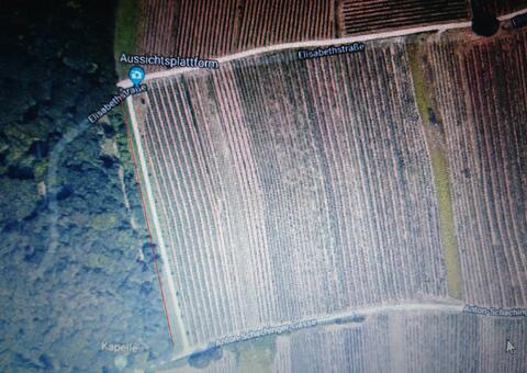 Maschendrahtzaun in 2380 Perchtoldsdorf Niederösterreich 01