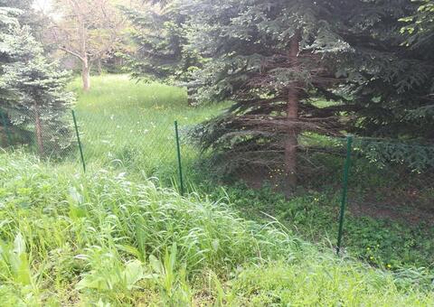 Maschendrahtzaun 3422 Hadersfeld Niederösterreich 14