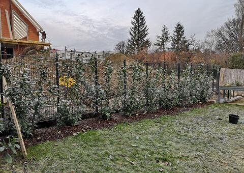 Doppelstabgitterzaun mit Sichtschutz in 2345 Brunn am Gebirge Niederösterreich 09