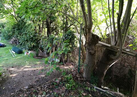 Maschendrahtzaun in 2371 Hinterbrühl  Niederösterreich 05