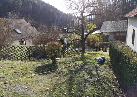 Maschendrahtzaun in 2393 Sittendorf  Niederösterreich 06