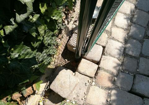 Maschendrahtzaun in 2380 Perchtoldsdorf Niederösterreich 4