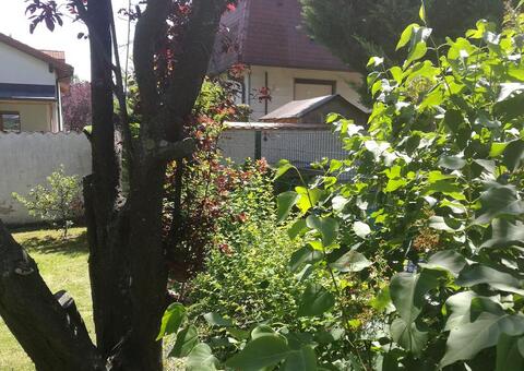 Doppelstabgitterzaun in 2514 Traiskirchen Niederösterreich 07