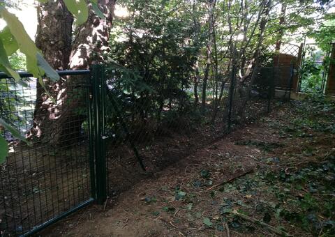 Maschendrahtzaun in 3051 ST.Christophen Niederösterreich 11