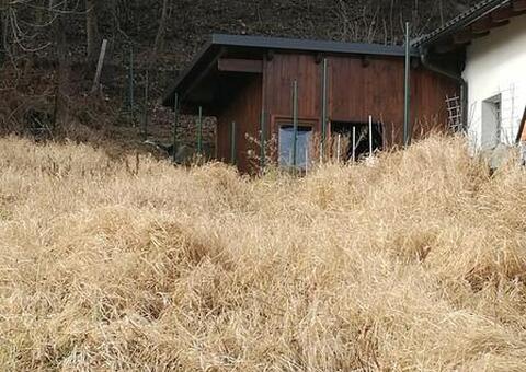 Maschendrahtzaun in 3641 Aggsbach Markt Niederösterreich 06