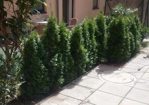 Maschendrahtzaun in 1190 Wien 02