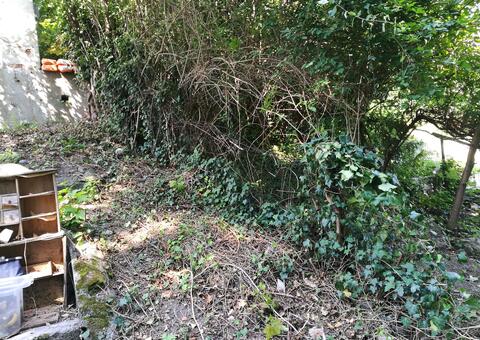 Maschendrahtzaun in 2371 Hinterbrühl  Niederösterreich 01