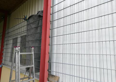 Doppelstabgitterzaun in 2362 Biedermannsdorf Niederösterreich 02