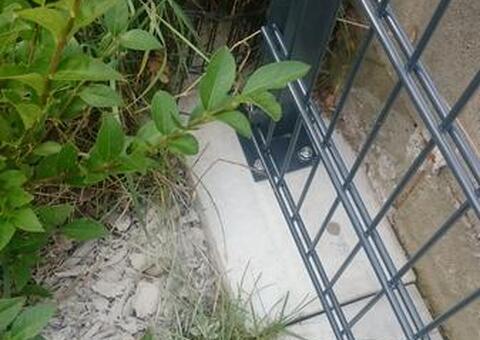 Doppelstabgitterzaun in 2560 Berndorf Niederösterreich 11